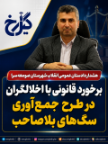برخورد قانونی با اخلالگران در طرح جمع‌آوری سگ‌های بلاصاحب
